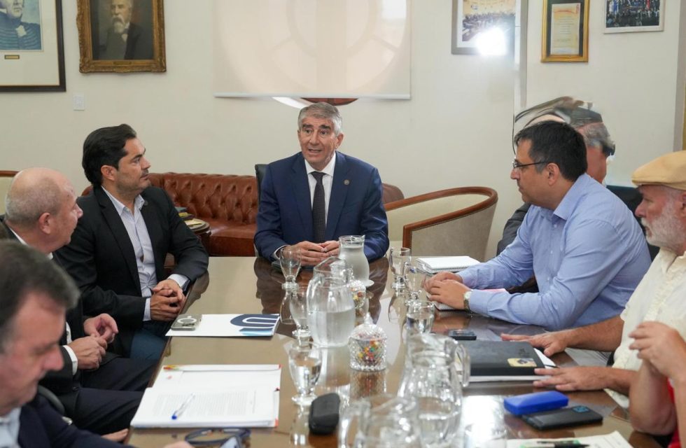 WhatsApp Image 2026-02-11 at 12.29.57