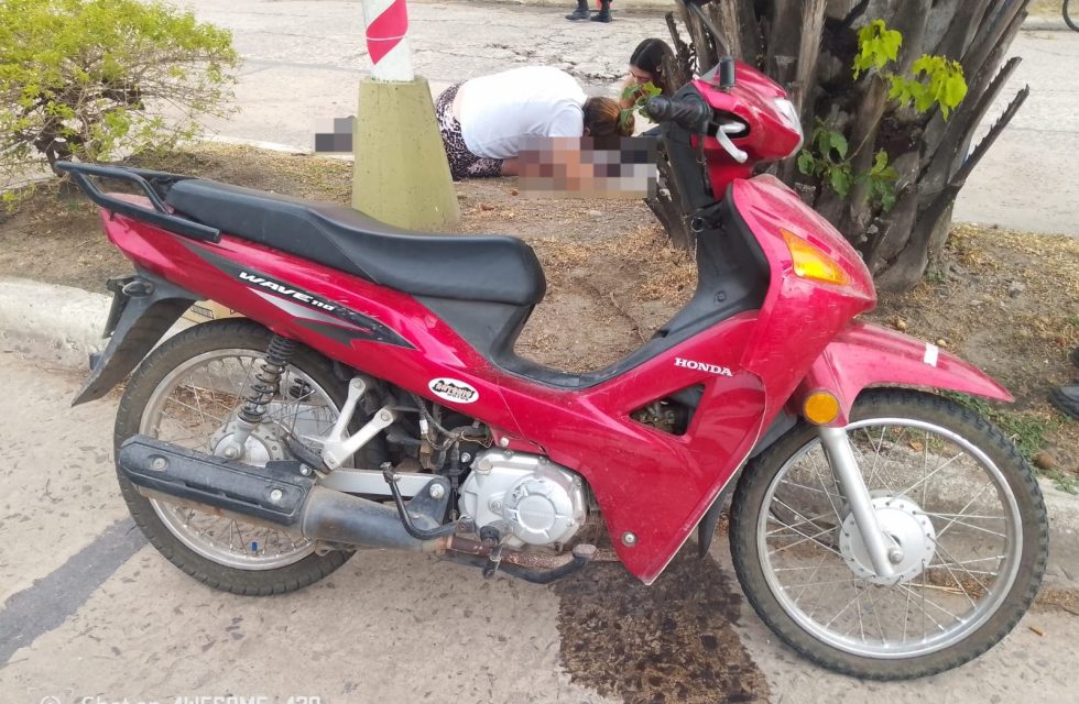 WhatsApp Image 2026-02-14 at 15.43.42 (1)