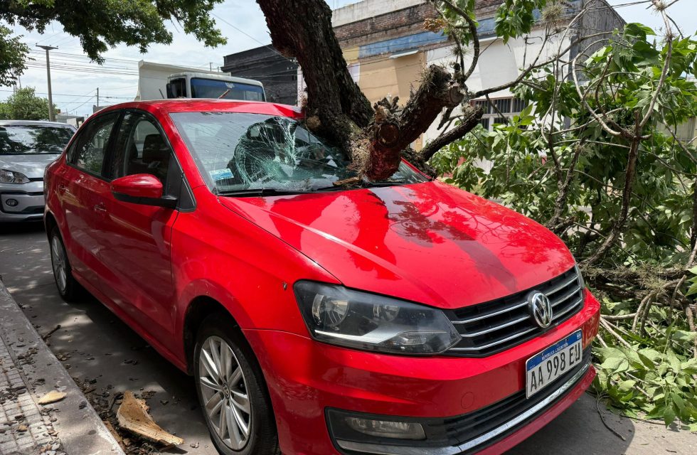 WhatsApp Image 2026-02-19 at 13.46.39