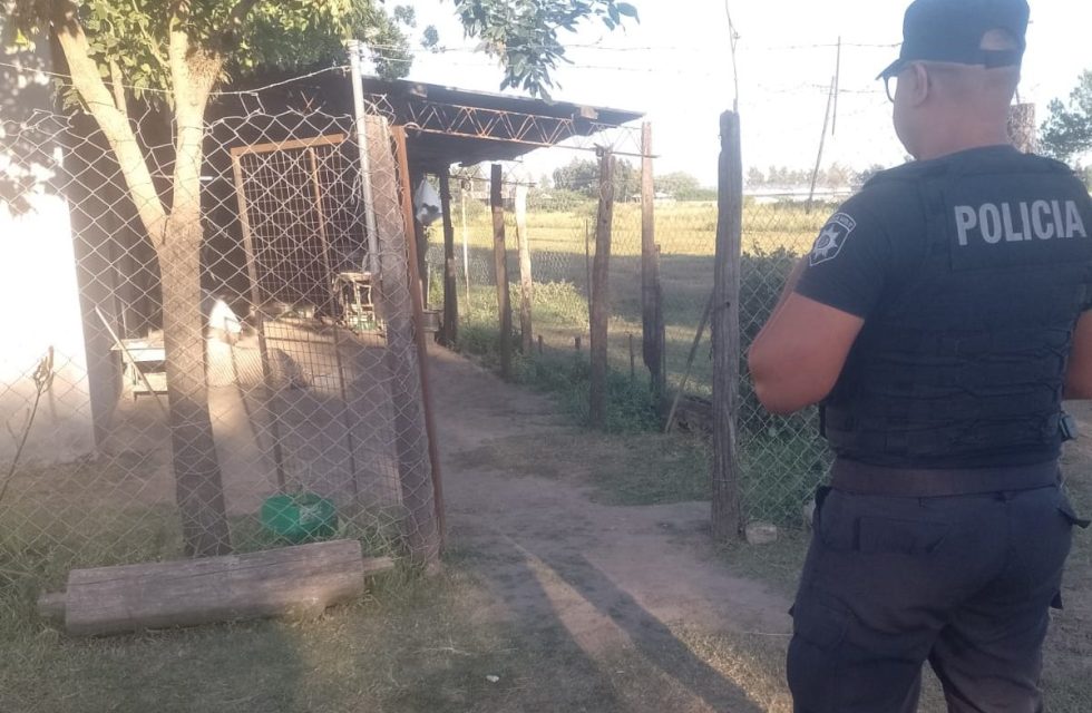 WhatsApp Image 2026-02-26 at 09.13.23