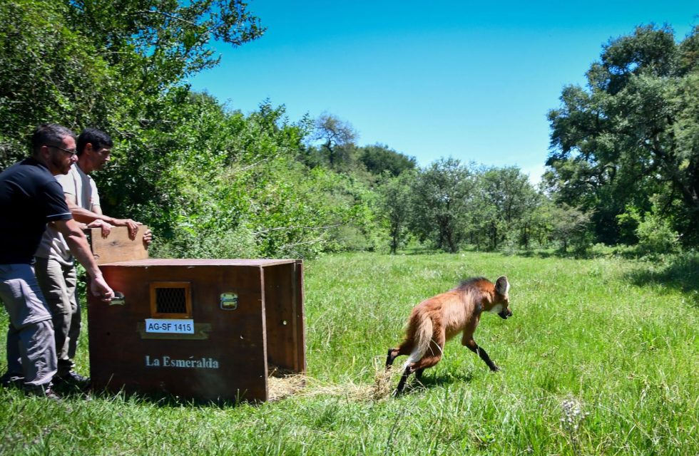 WhatsApp Image 2026-03-06 at 11.25.32