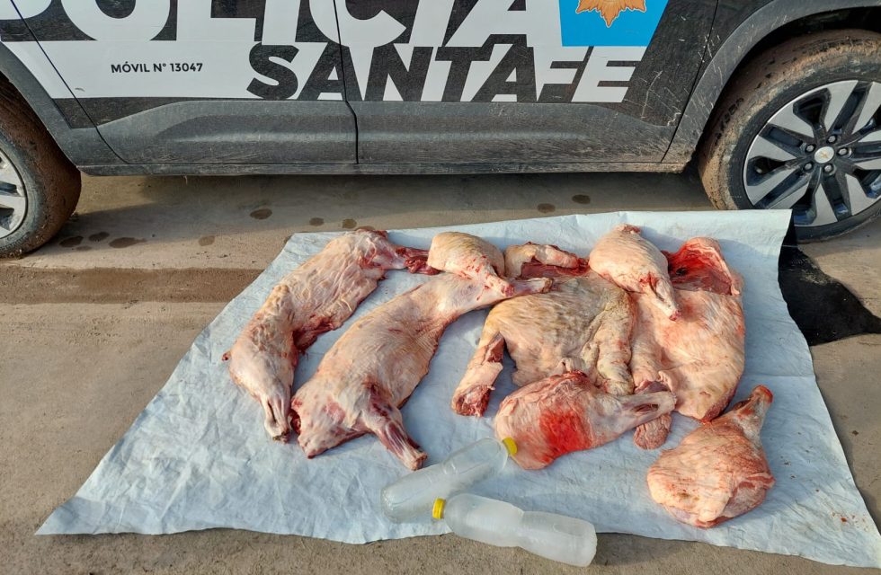 WhatsApp Image 2026-03-08 at 10.17.15