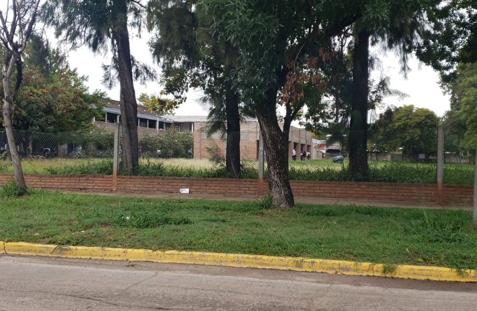 WhatsApp Image 2026-03-09 at 08.56.06