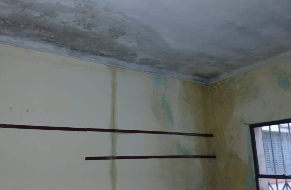 amsa1