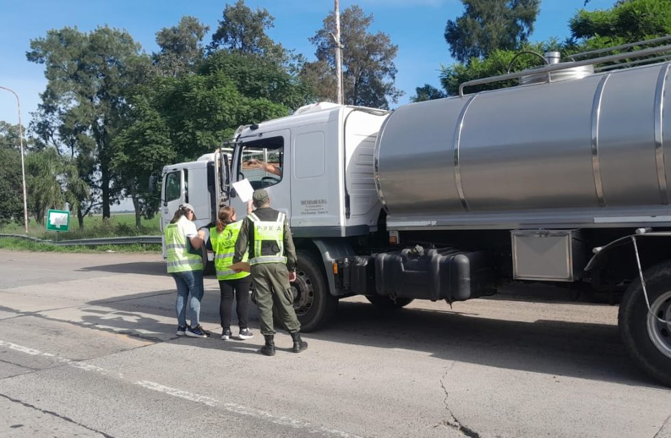 assal operativo