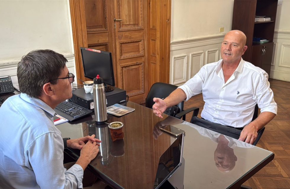 docentes industriales