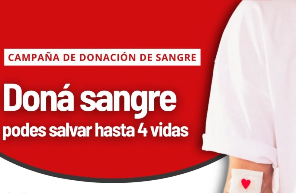 donacion de sangre1