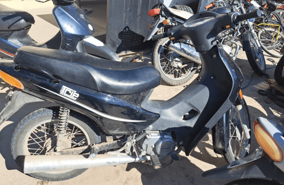 imagen_2024-12-21_103738350