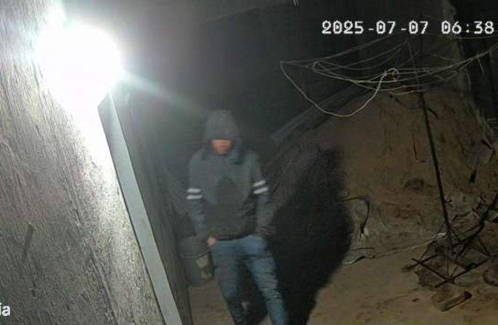 imagen_2025-07-08_084815496