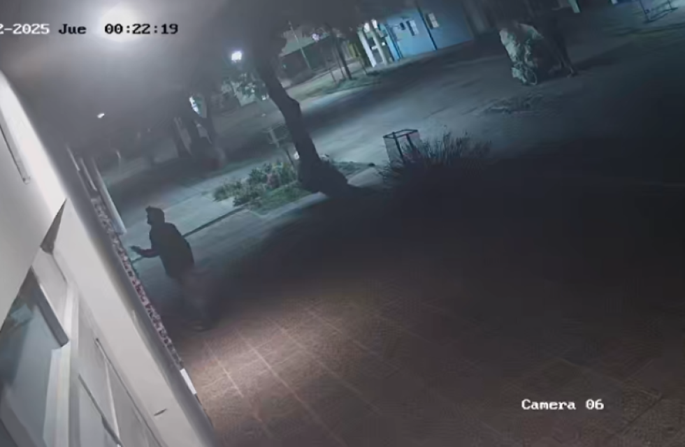 imagen_2025-10-02_105902194