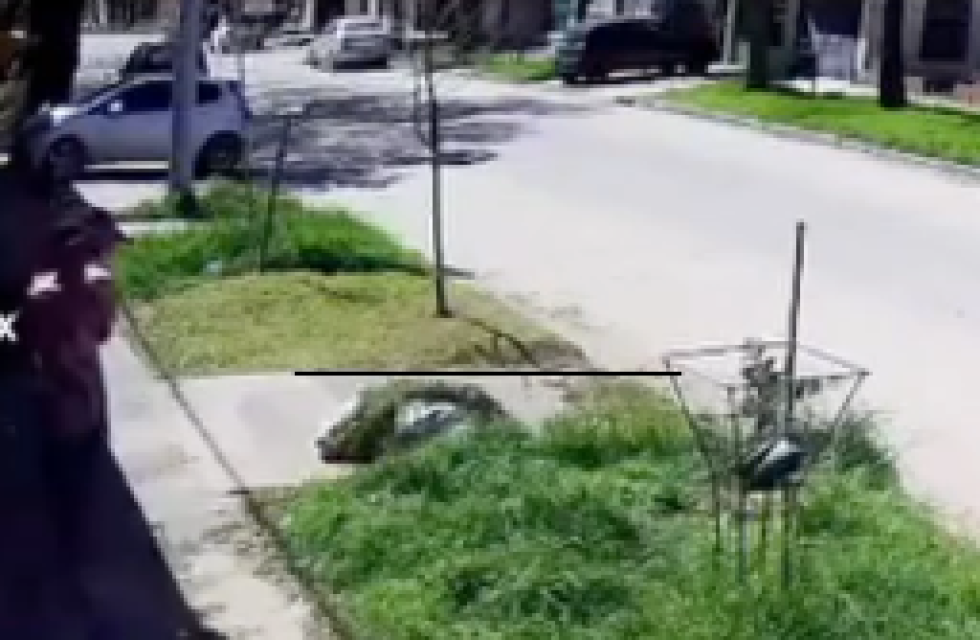 imagen_2025-10-03_113222012