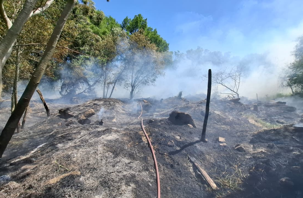 imagen_2025-10-12_200945686