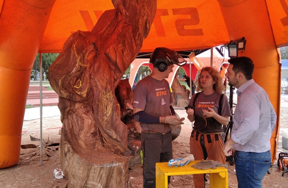 simposio de escultores vieja