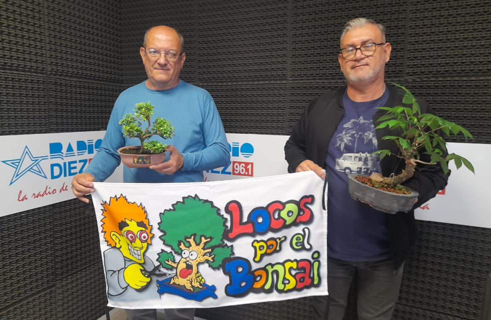 imagen_2025-11-07_102638982