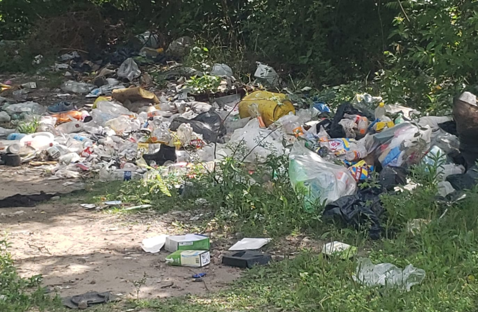 imagen_2025-11-14_101901403