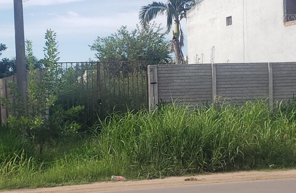 imagen_2025-12-12_084133402