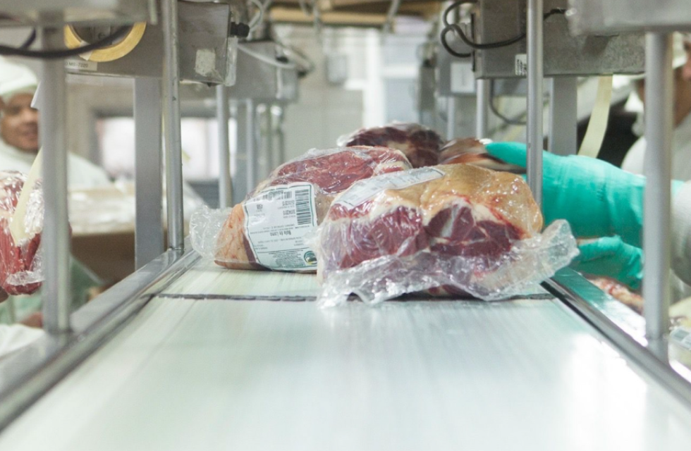 carnicería carne exportación frigorífico