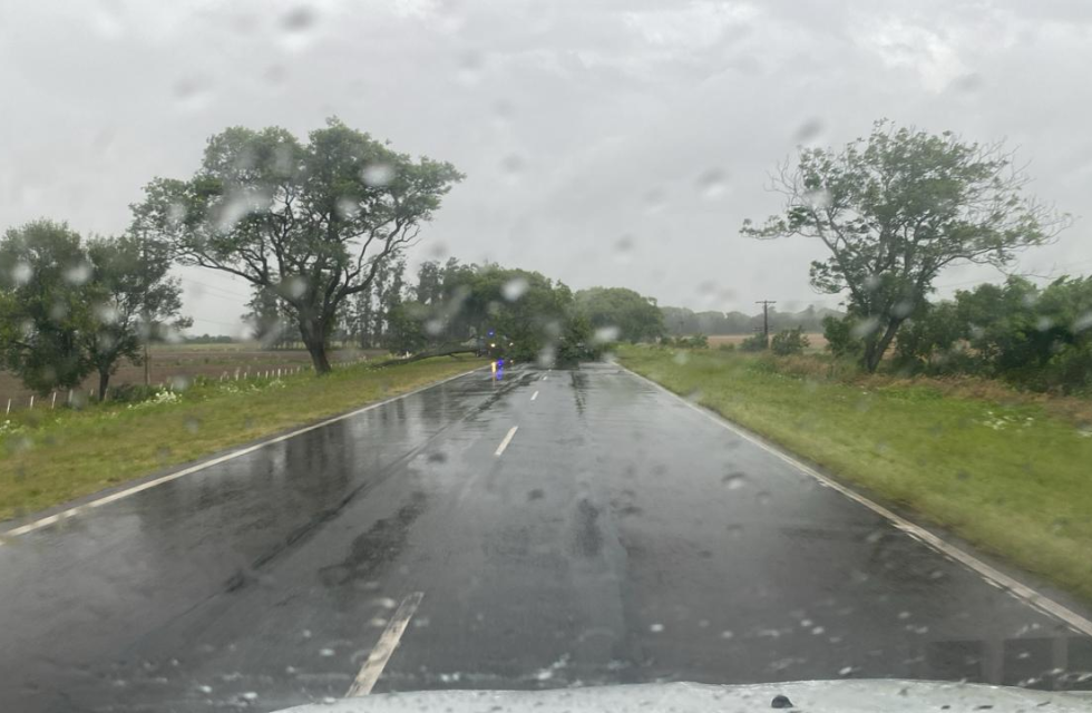 imagen_2025-12-15_075513929