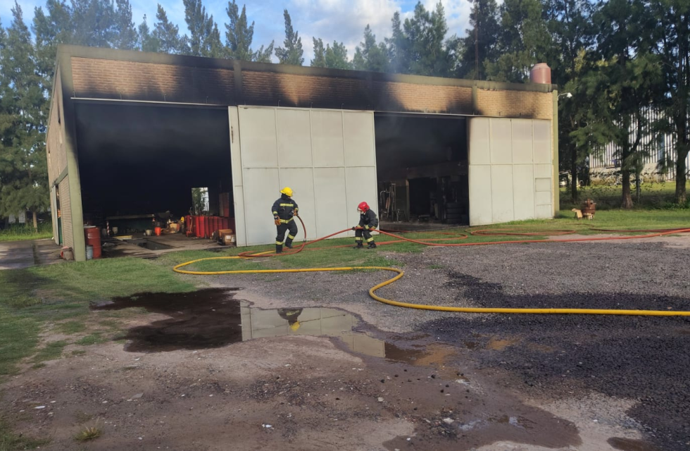 imagen_2025-12-26_100826207