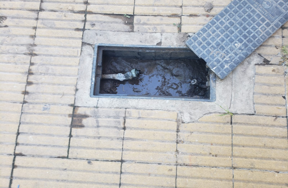 imagen_2026-01-02_103008221