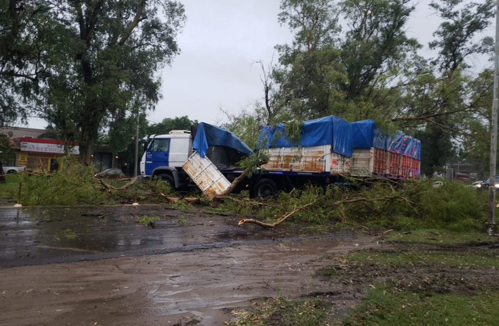 imagen_2026-01-09_080006678