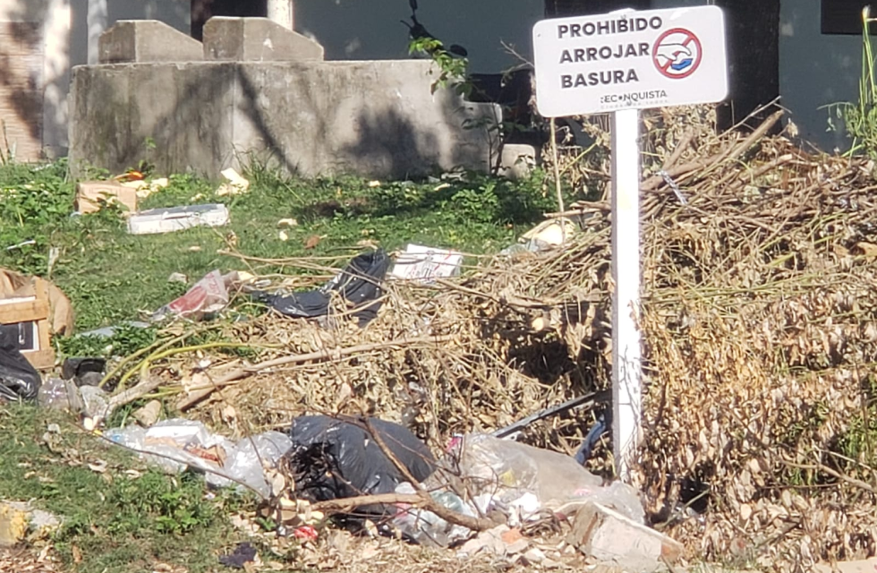 imagen_2026-01-12_092831080