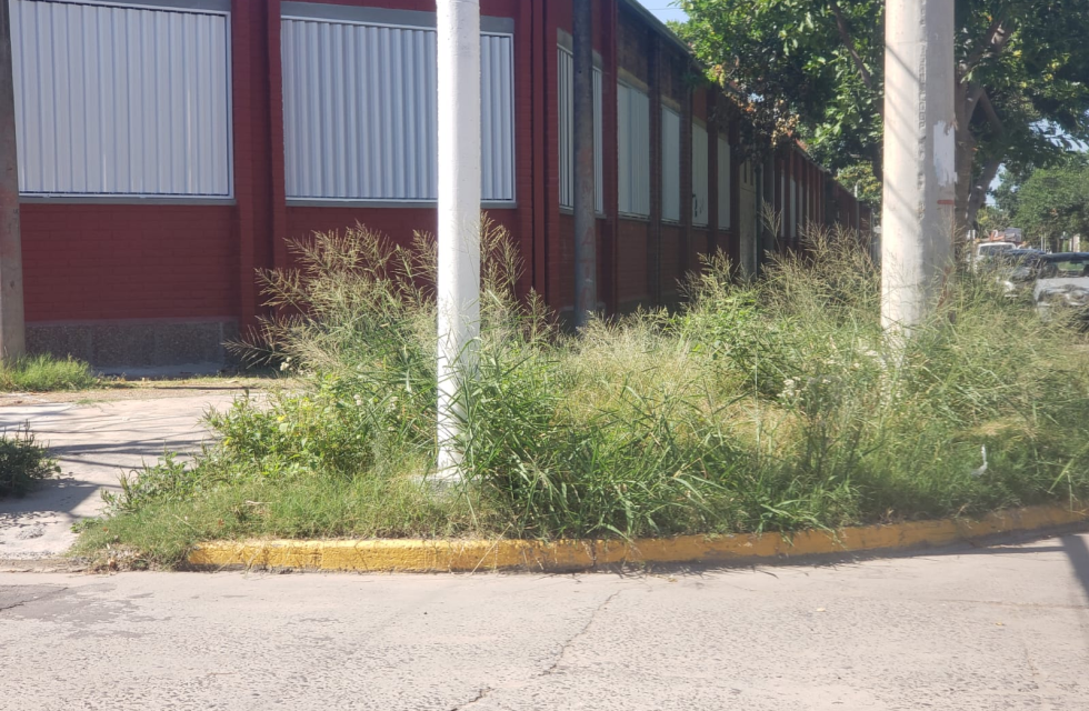 imagen_2026-02-04_103258013