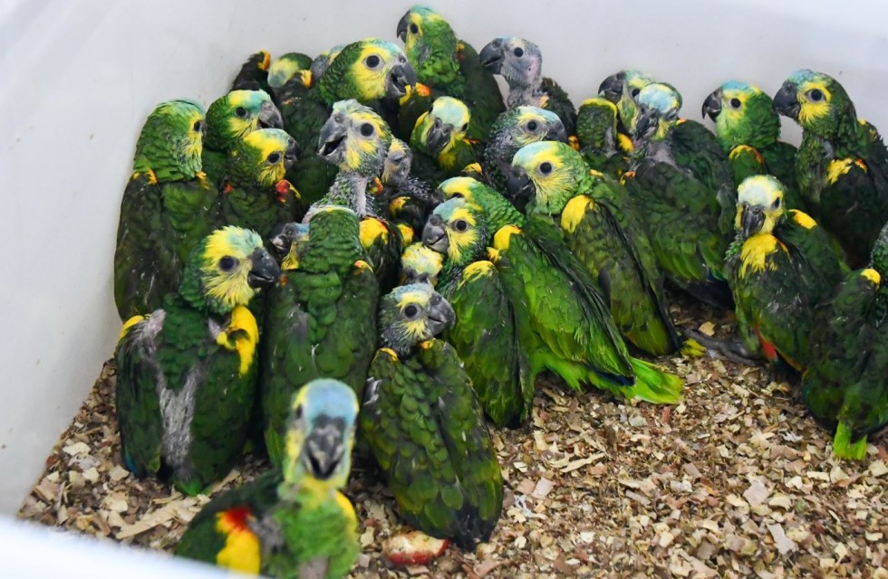 imagen_2026-02-17_102257609