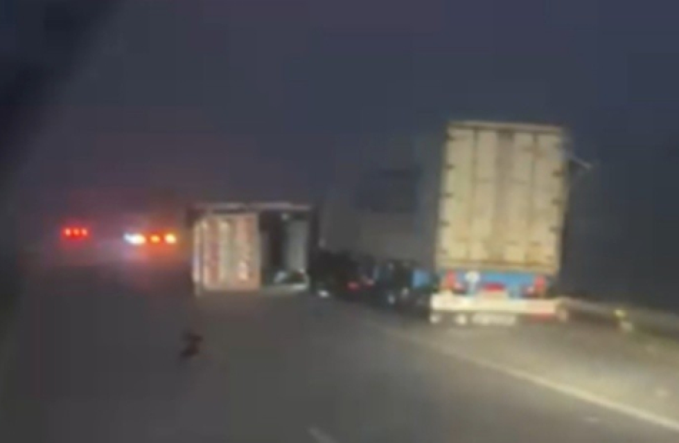 imagen_2026-02-19_092757787