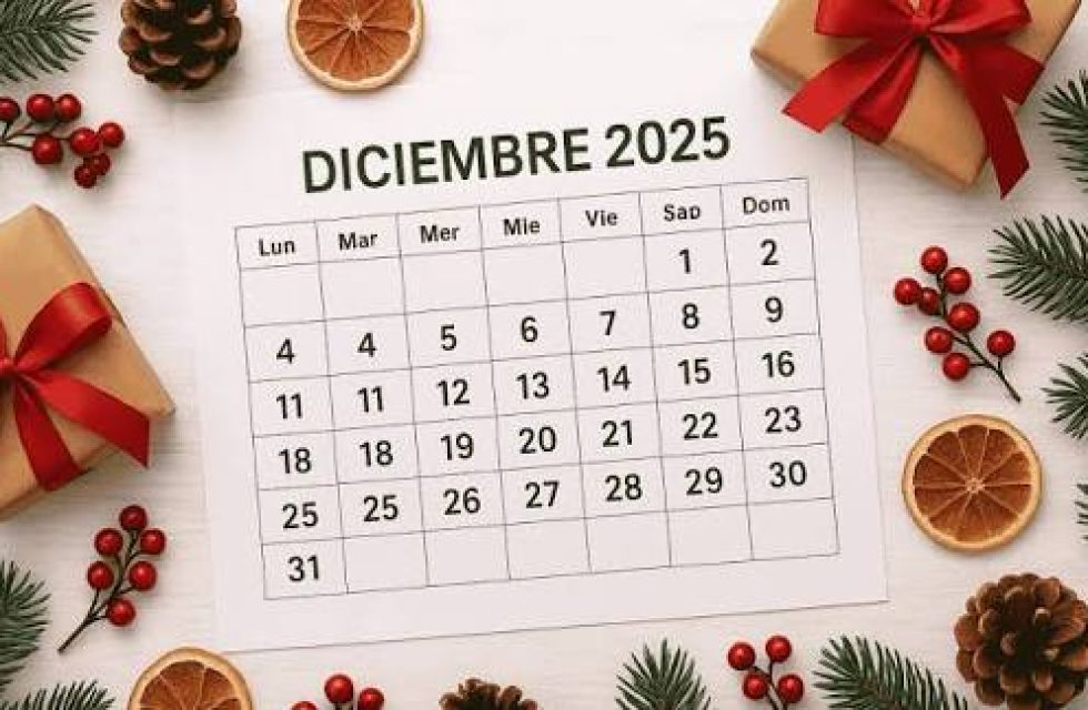 images-2025-12-03T143522.691