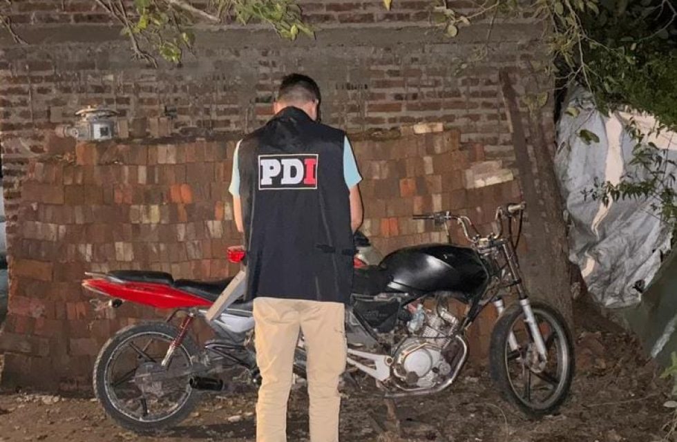 pdimoto