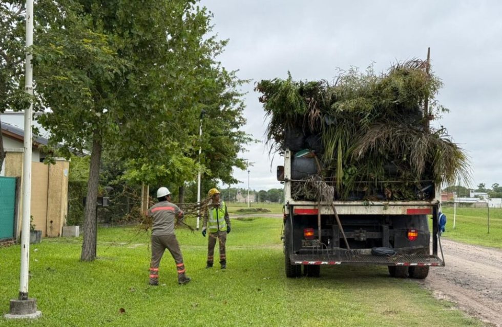 recoleccion de ramas y cacharros