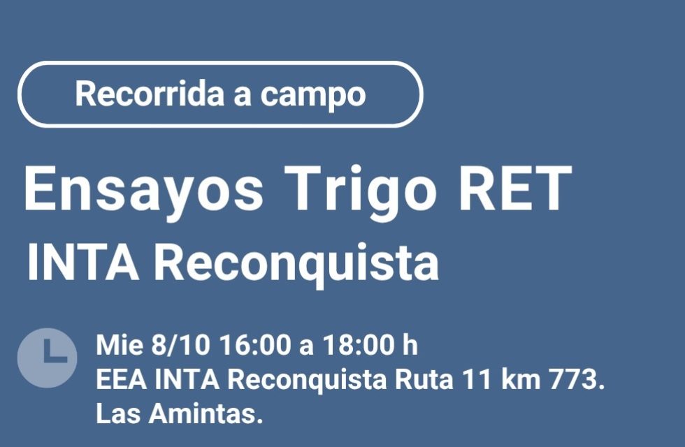 recorrida a campo1