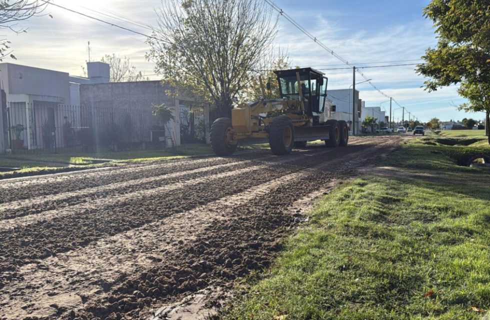 sembrado-piedra-1024x663