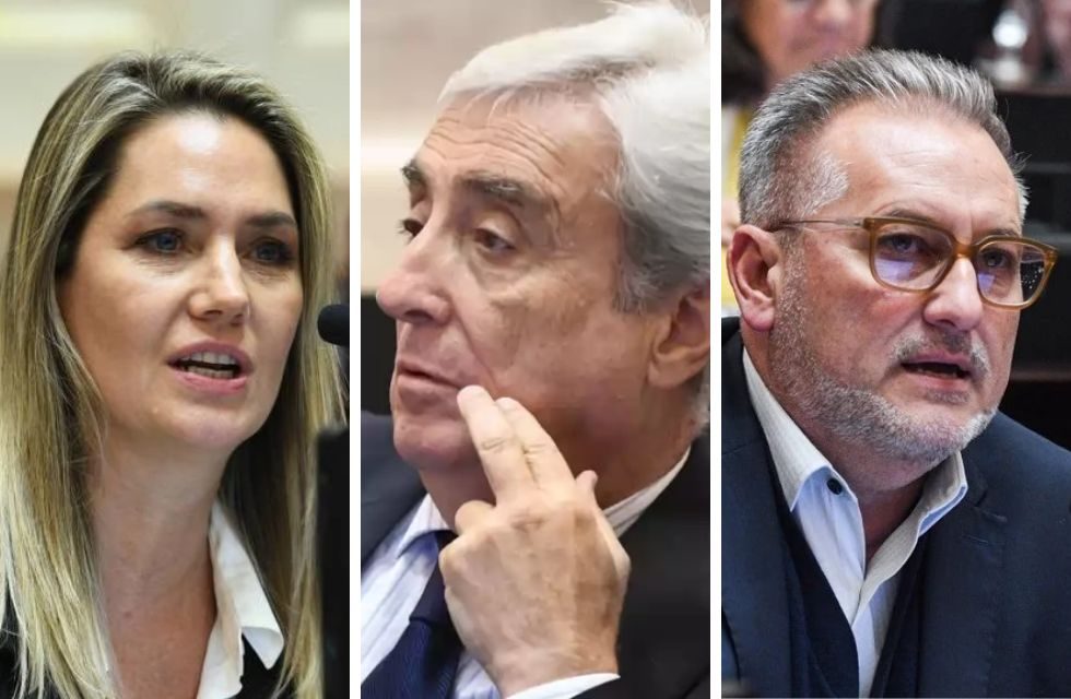 senadores santafesinos Losada Galaretto Lewandowski