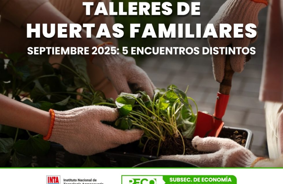 taller de huertas familiares