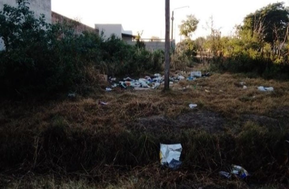 terreno