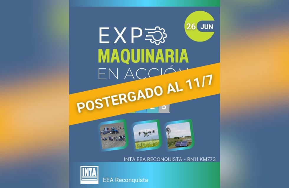 MEDIDAS PARA FOTO - VIA LIBRE 2025