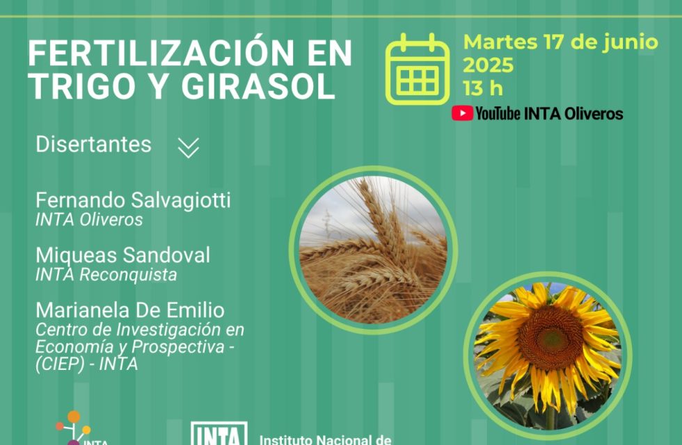 girasol
