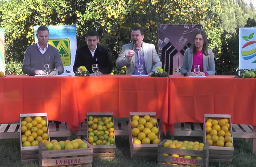presentaron-la-fiesta-provincial-del-citrus-2025-02