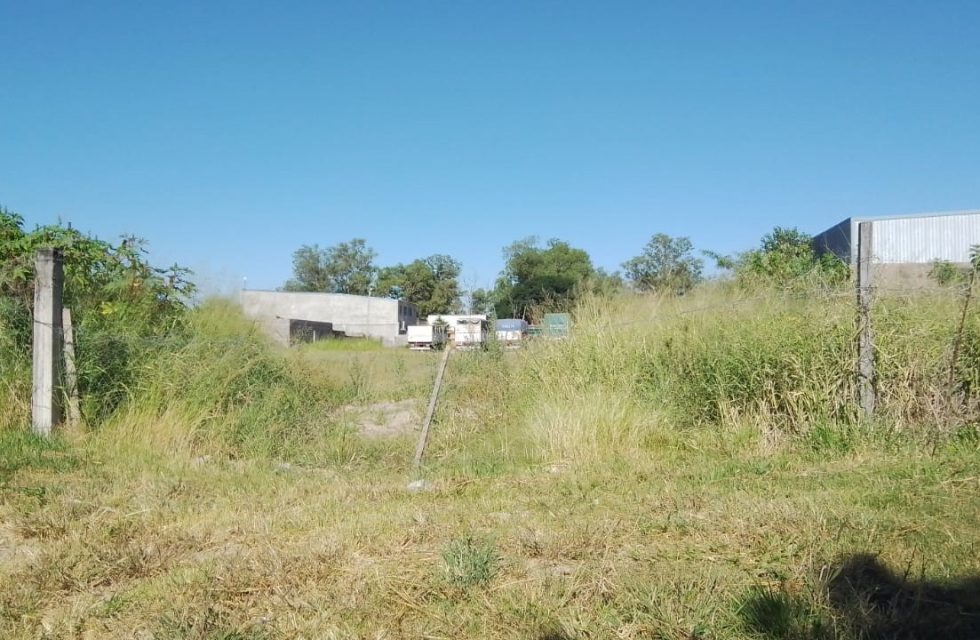 terreno valdio